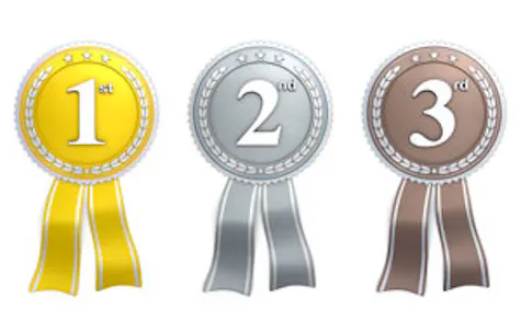 Which business awards?