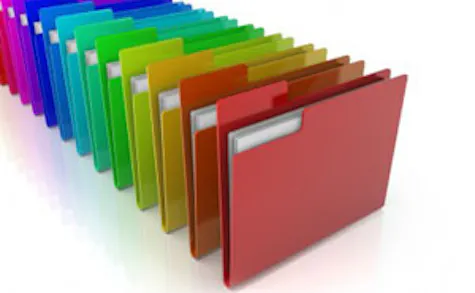 Website Categories