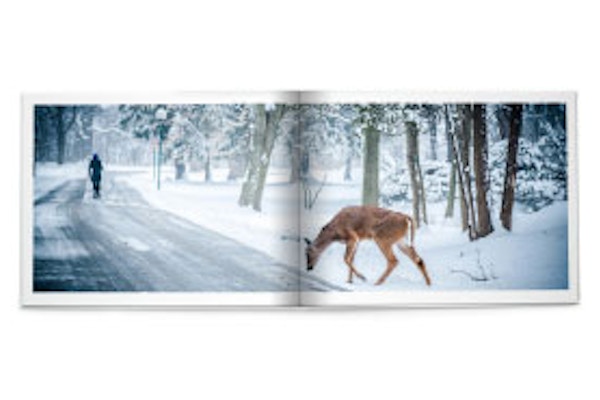 The 1st - Bob Books If you're thinking about making an extra special gift for your loved one this Christmas, you can't get more thoughtful than a personally designed photobook from Bob Books. Enjoy <B>15% off</B> personalised photobooks, calendars and wall art.