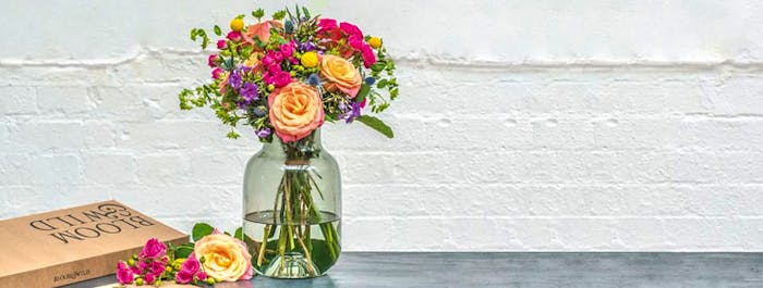 Website of the Year 2016: Bloom & Wild