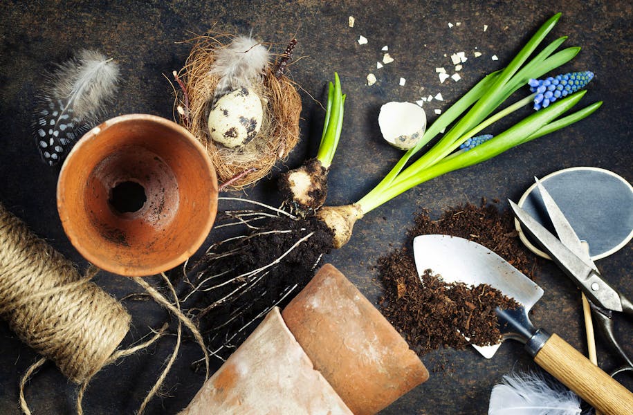 Gardening Sites