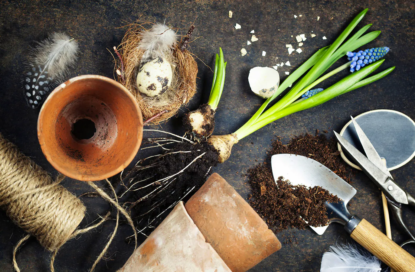 Gardening Sites