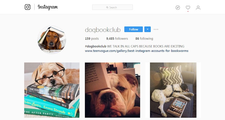Dog Book Club on Instagram