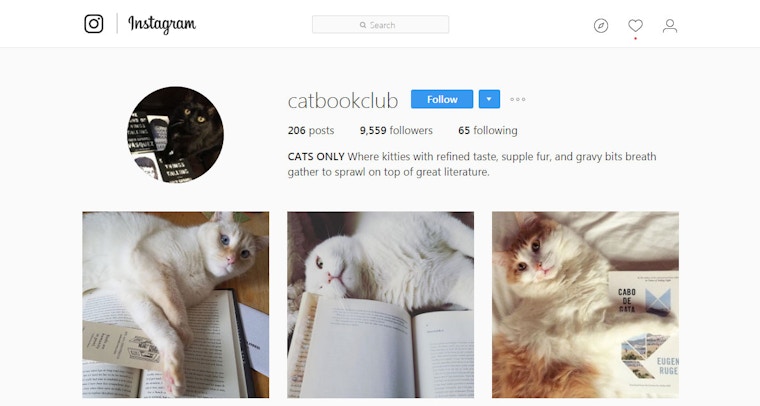 Cat Book Club on Instagram