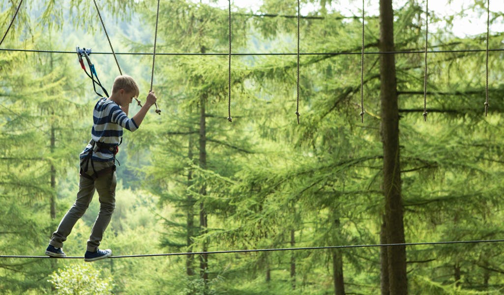 Go Ape
