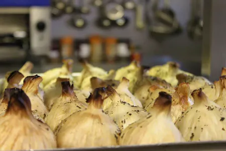 Garlic Lover's Club