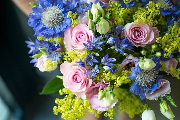 Bloom & Wild Delight someone special with the gift of monthly fresh flowers through the letterbox. Send weekly, fortnightly or monthly flowers from £70 for three months