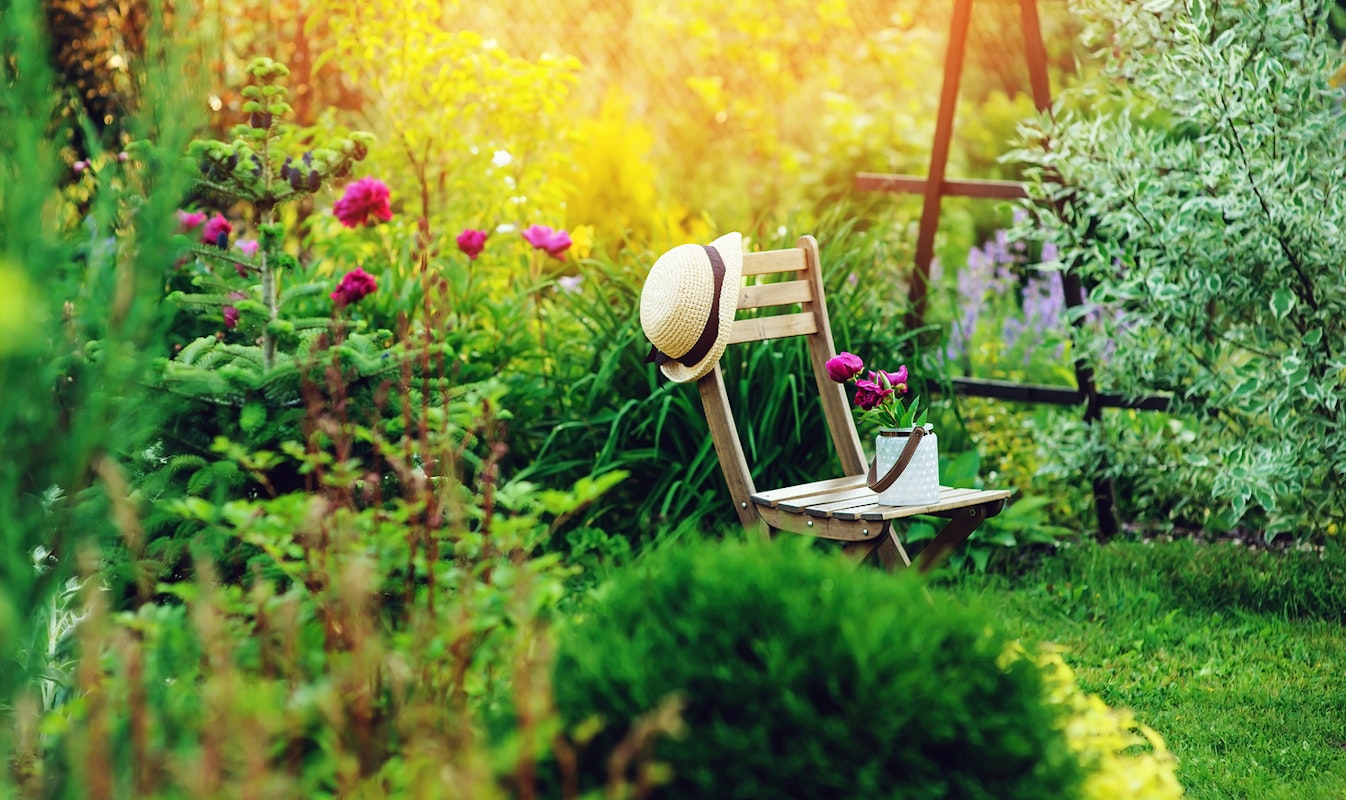 Best Sites For Gardening Blogs The GoodGuide