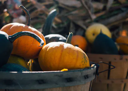 Six Ways With A Pumpkin