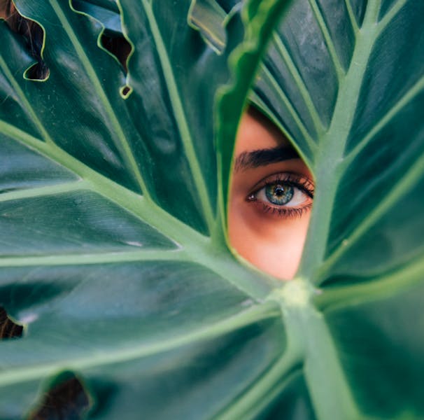 The Chillery CBD Wellness