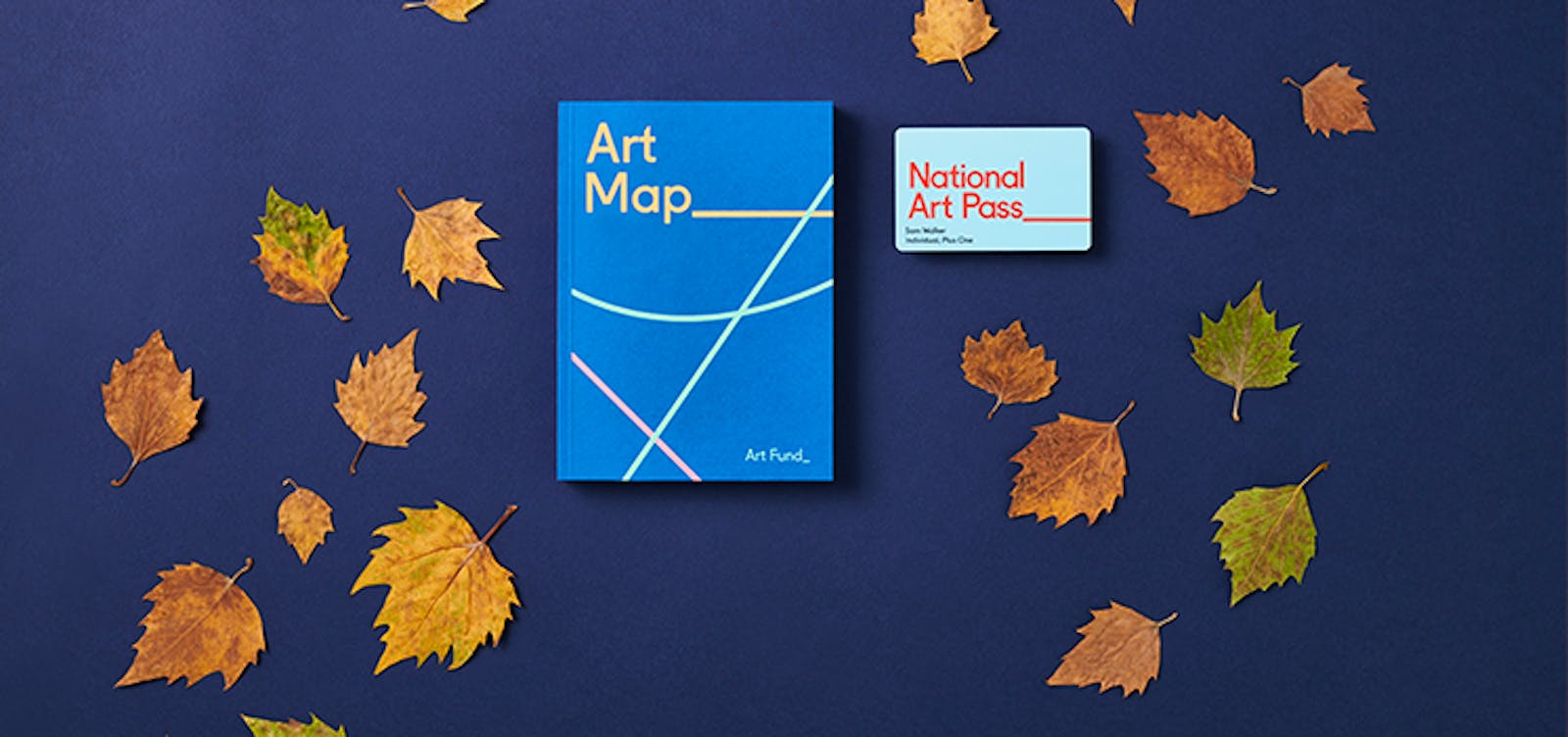 National art pass - clutter free presents