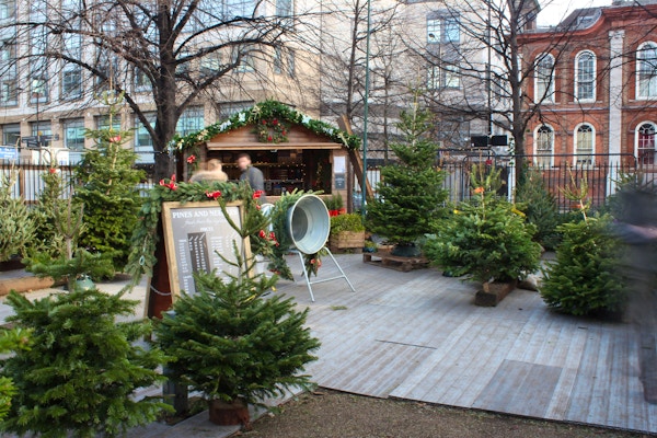 How To Pick and Dress Your Christmas Tree - Pines and Needles