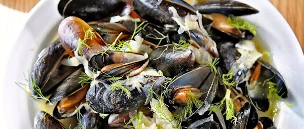 Shetland Mussels, Fennel And White Wine