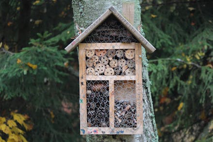 How To Make a Bug Hotel