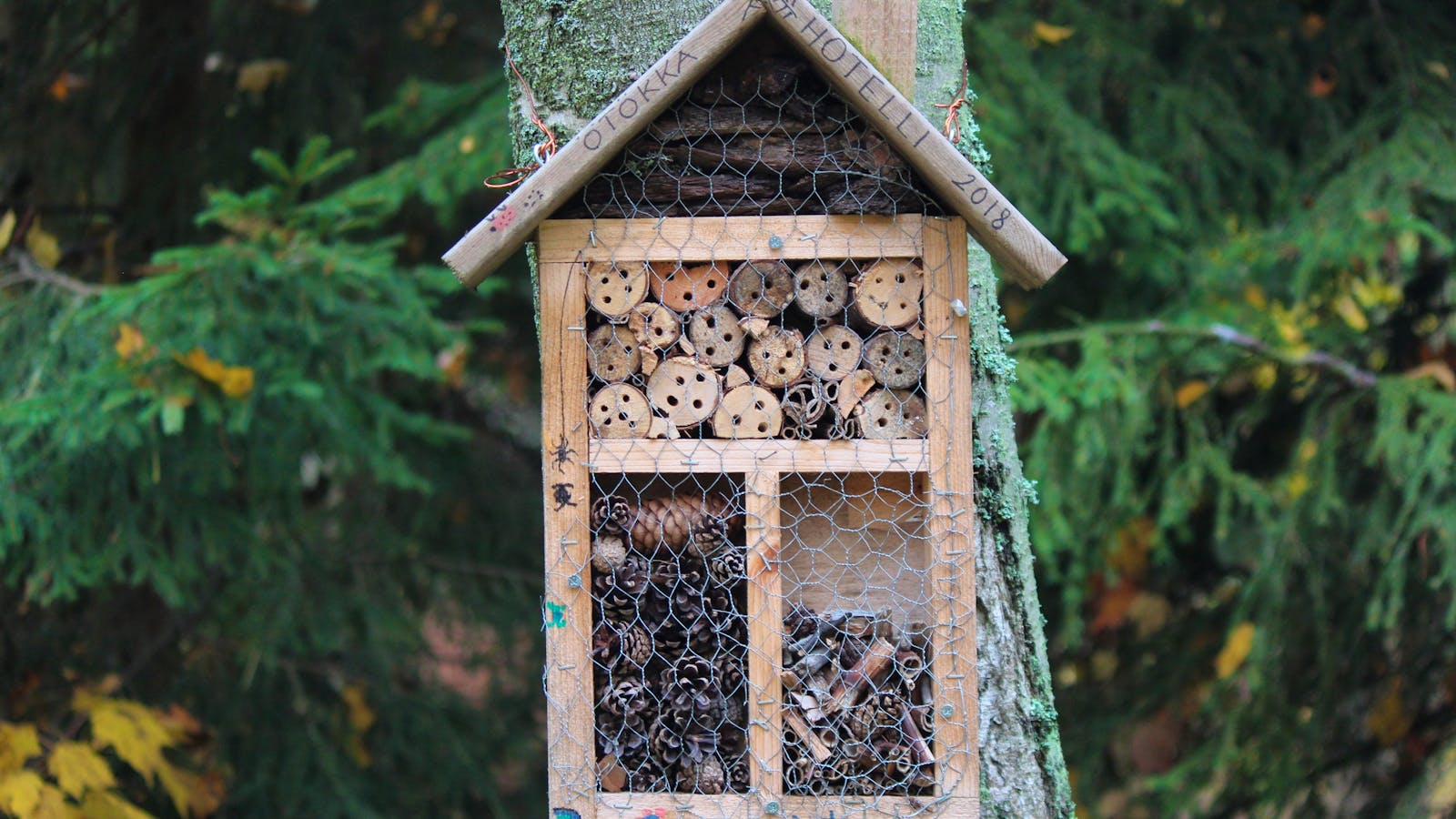 Tania-malrechauffe-DvIy9DbEZsc-unsplash