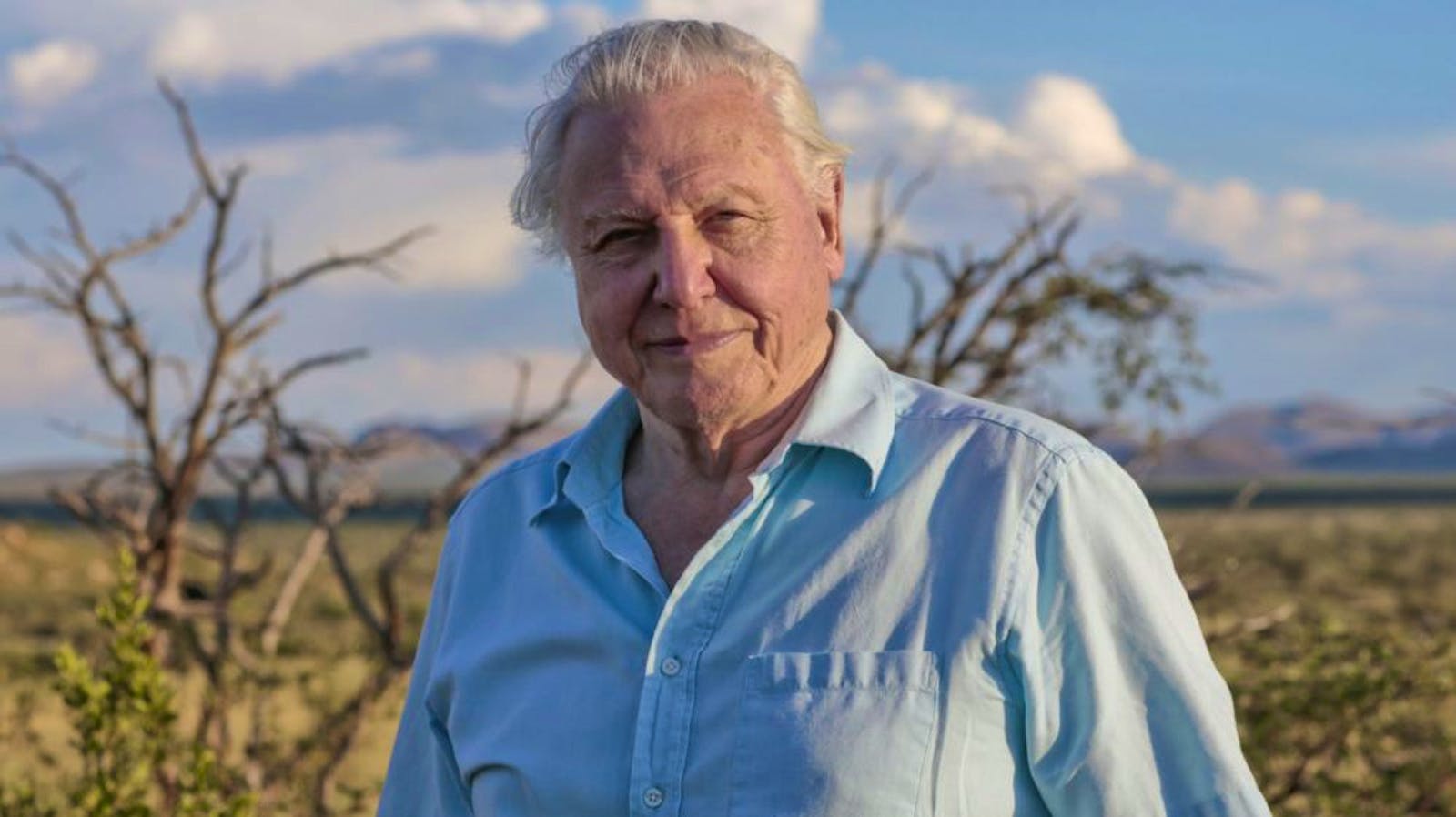 David Attenborough