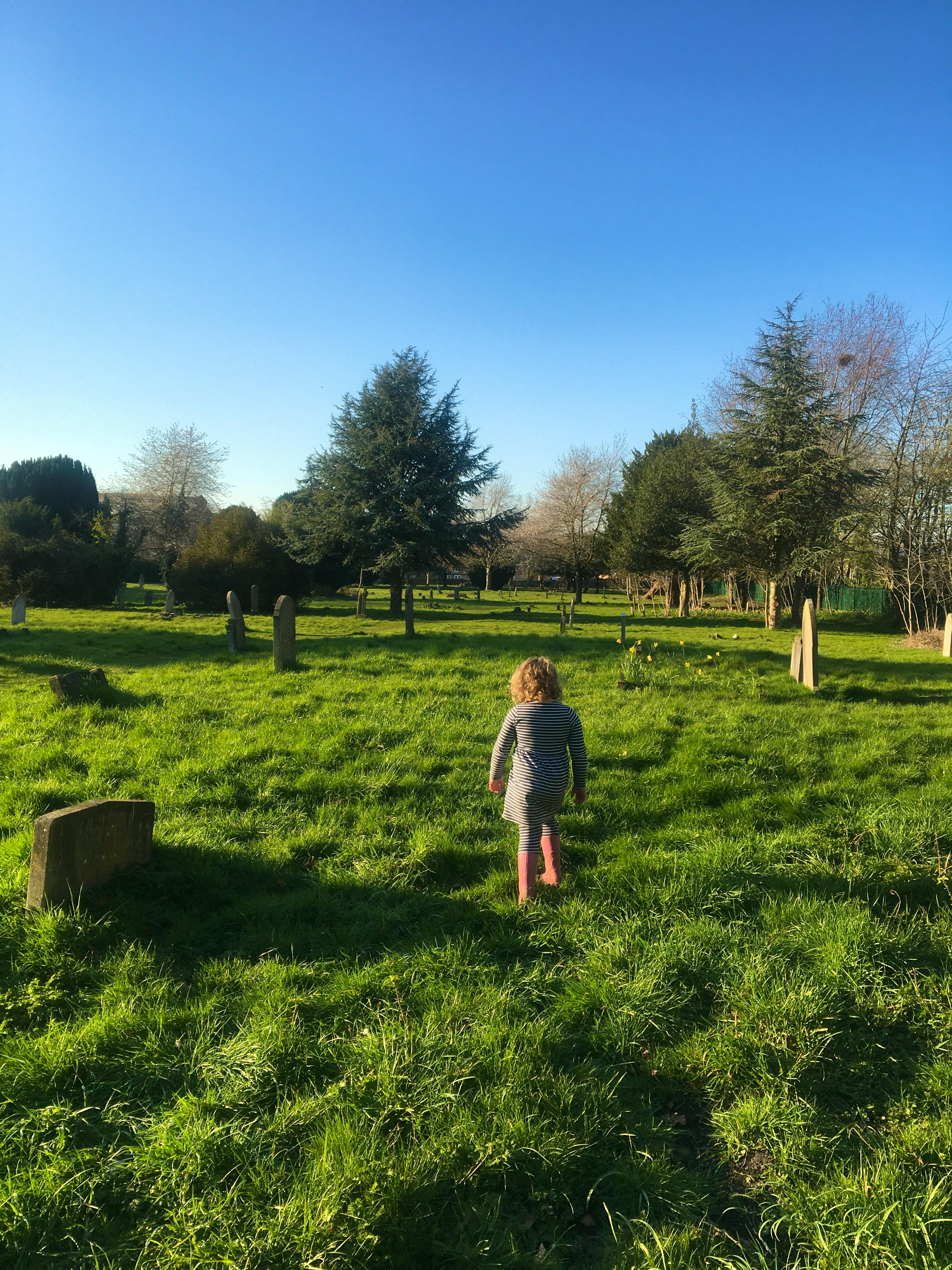 The Lockdown Diaries