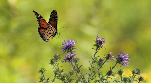 10 Nature Activities To Do With Kids