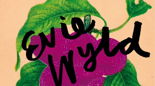 GWG Book Club: The Bass Rock By Evie Wyld