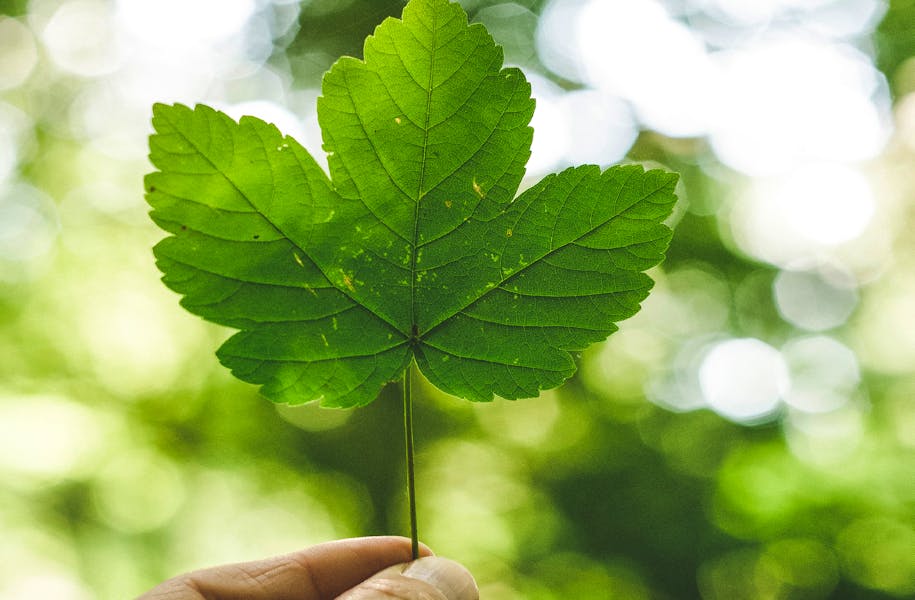 Sign the National Nature Service’s Declaration