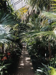 7 Botanical Gardens To Follow On Instagram