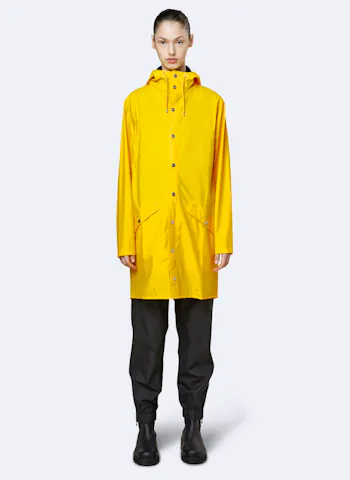 Rains