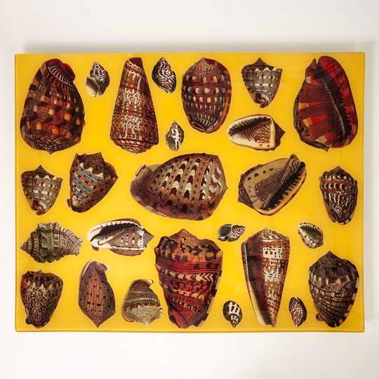 Pentreath & Hall Decoupage Shell Tray, £295