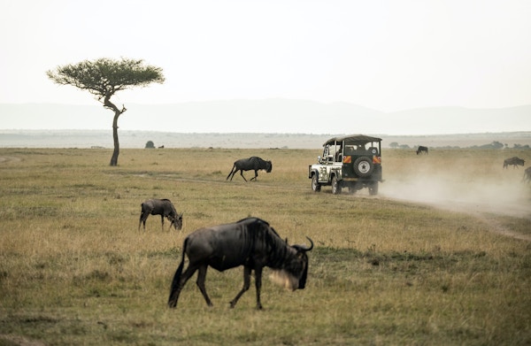 Jumbari: For Responsible Family Safaris To Africa