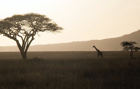 Ker & Downey Africa: For Life-Changing Trips Across Africa