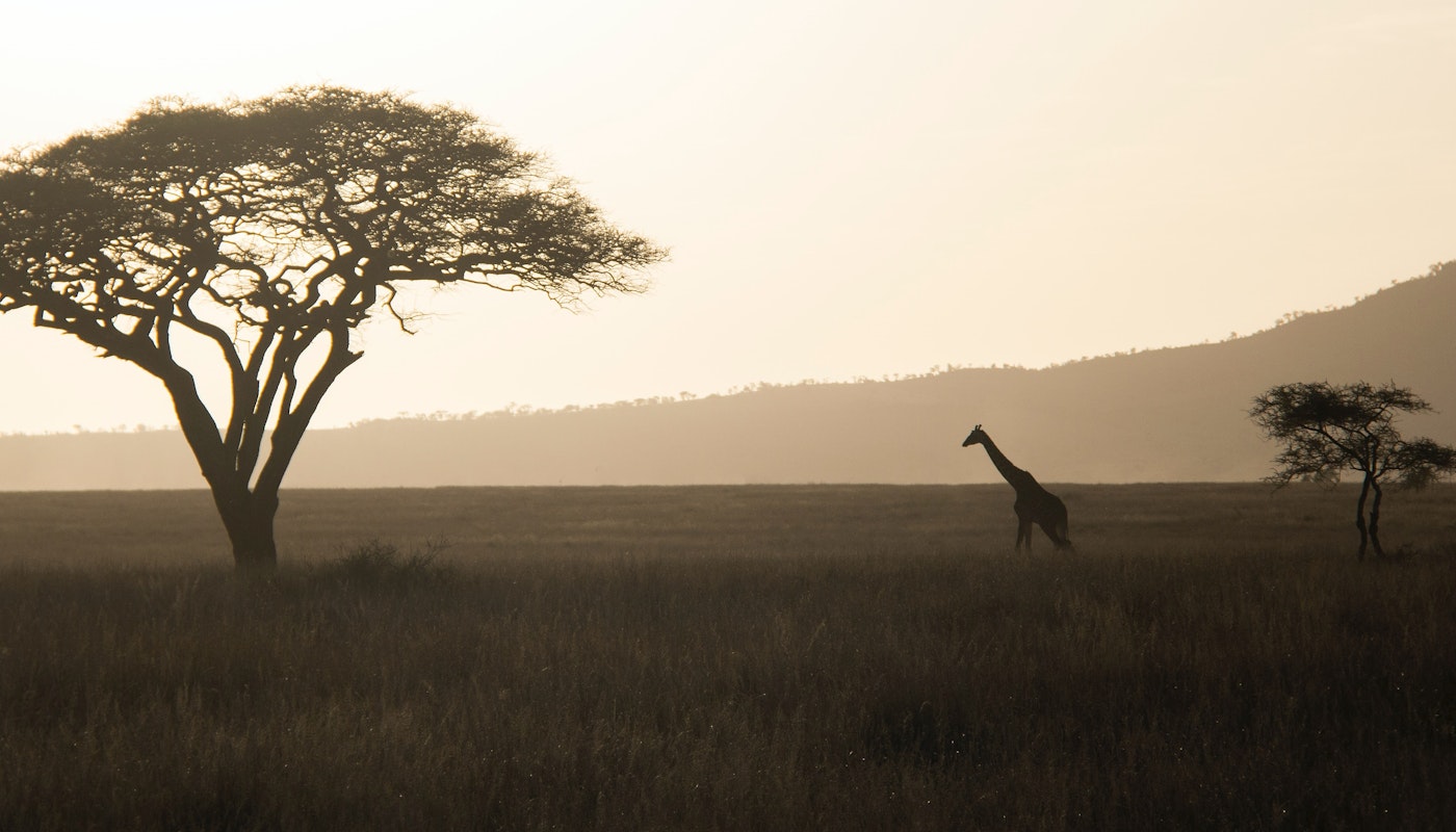 Ker & Downey: For Life-Changing Trips Across Africa