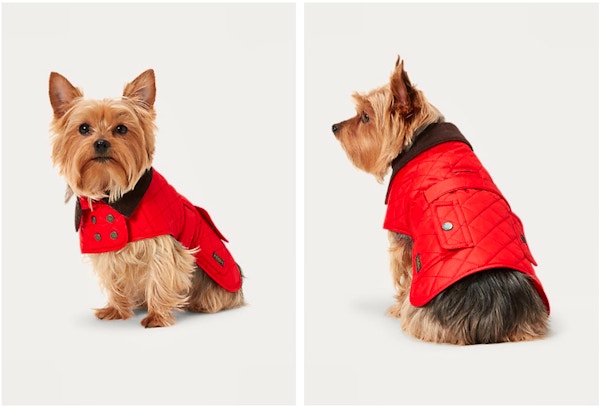 Fleece Lined Dog Jacket