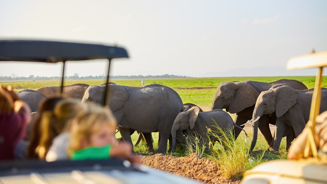 Jumbari Family Safaris - An Educational Playground in Africa