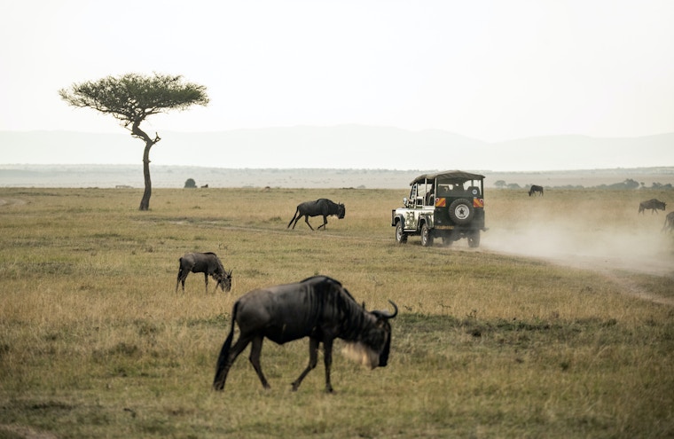 Jumbari Family Safaris - An Educational Playground in Africa
