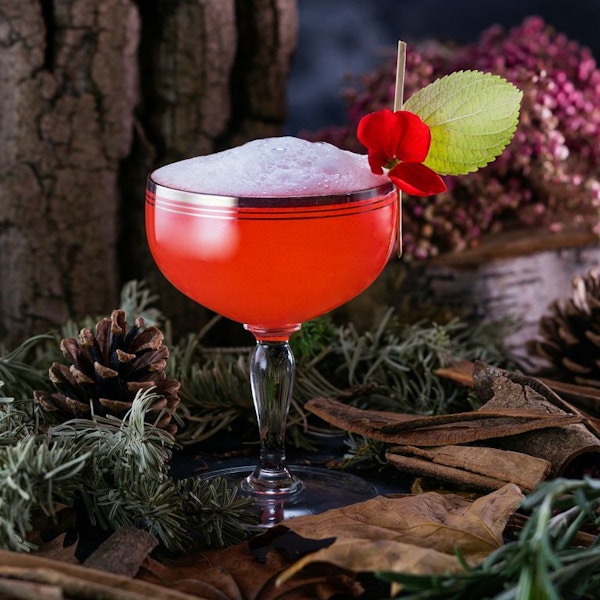 Alcoholic Christmas Drinks - Sloe-secco - Red Online
