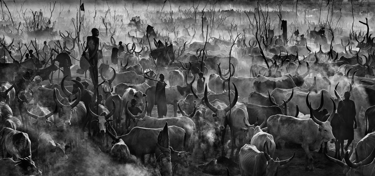 Episode 5 - In Focus With David Yarrow. Mankind (2015)