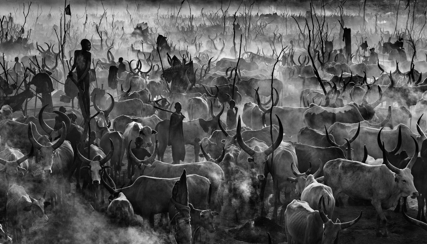 Episode 5 - In Focus With David Yarrow. Mankind (2015)