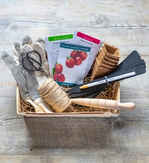 Sarah Raven Allotment Kit, £34.95