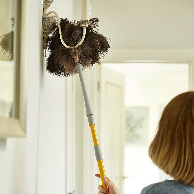 Extendable Ostrich Feather Duster 