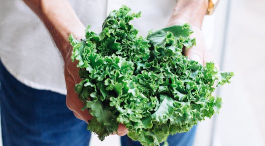 7 Recipes To Promote Gut Health