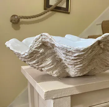 Tee Morris Shells