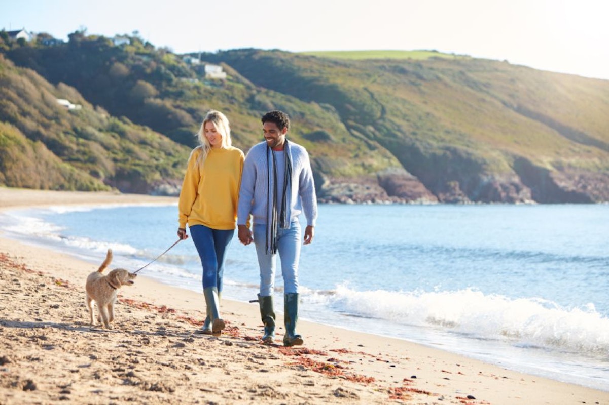 Dog Friendly Retreats - Dog Walk On A Cornish Beach