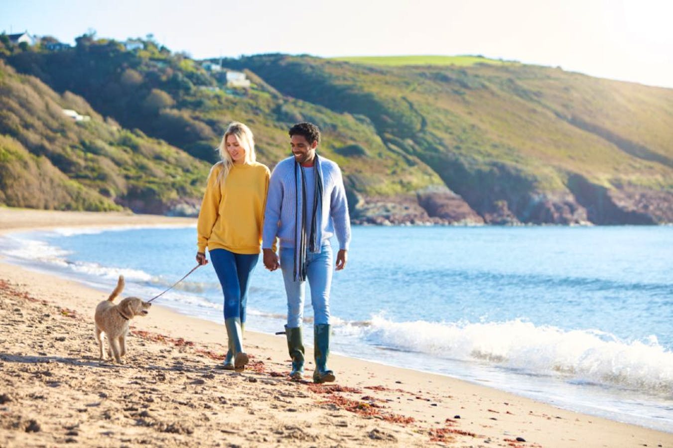 Dog Friendly Retreats - Dog Walk On A Cornish Beach