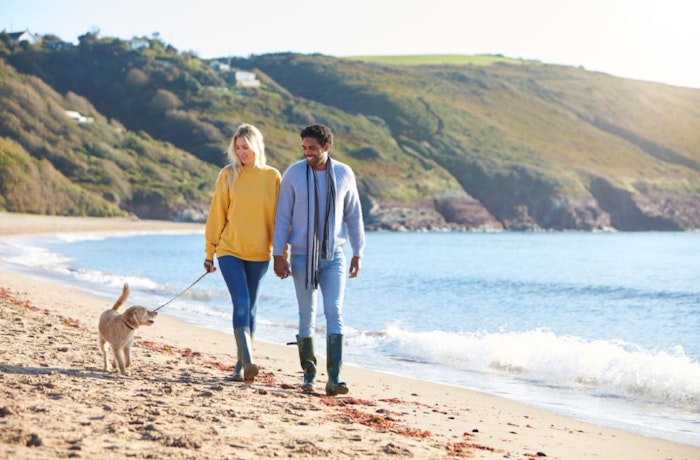 Dog Friendly Retreats - Dog Walk On A Cornish Beach
