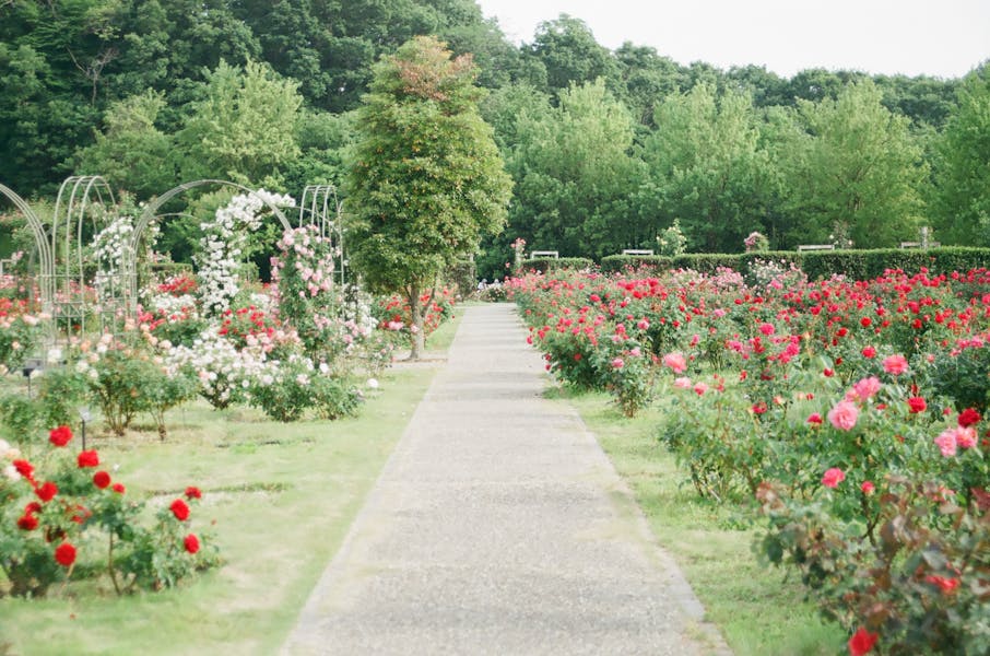 Vote For Your Favourite Historic Houses Garden of The Year