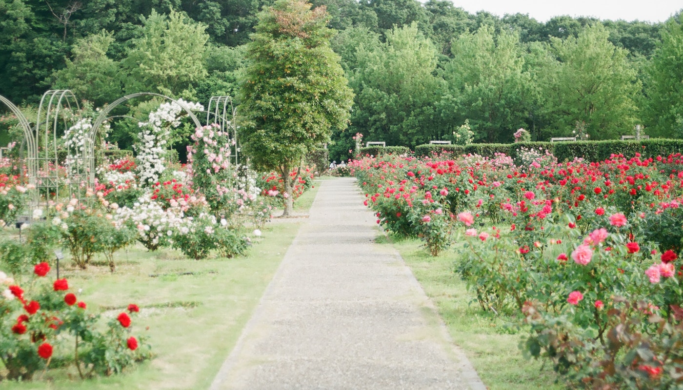 Vote For Your Favourite Historic Houses Garden of The Year