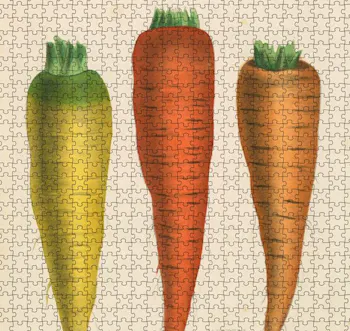 John Derian