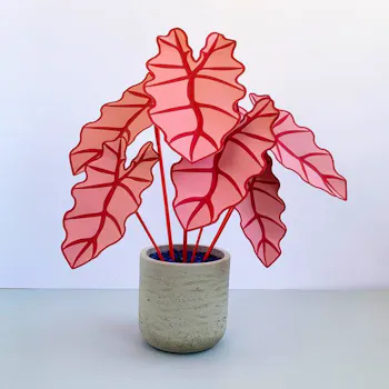 Brazen Botany