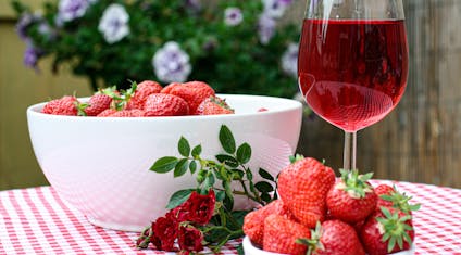 Online Resources For Your Home & Garden | The Good Web Guide