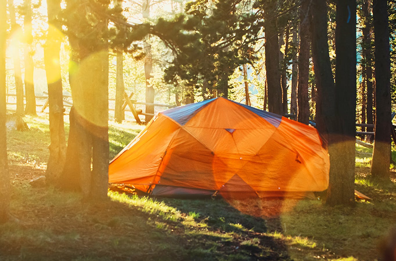 Wild Camping Guide Todd-trapani Unsplash