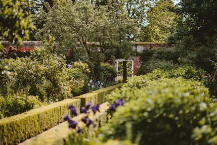 7 Summer Garden-Inspired Fragrances